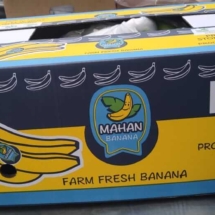 banana-5