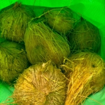 coconut-4