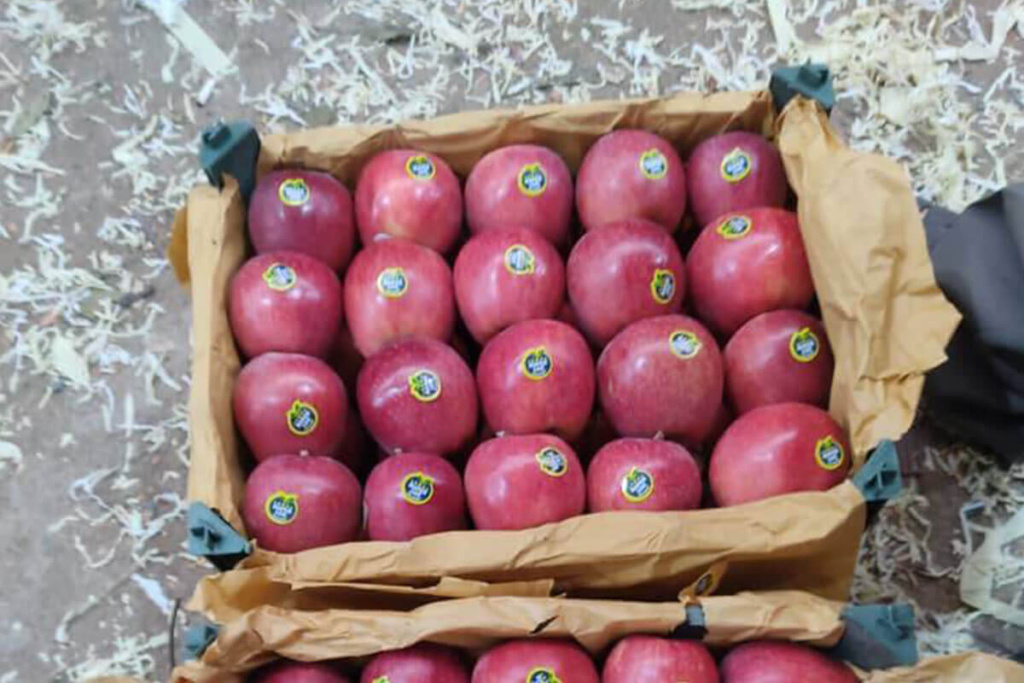 Apple Import From IRAN