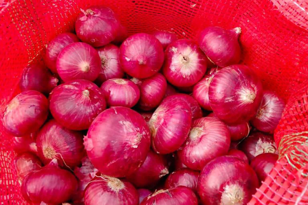 Onion Export To Dubai